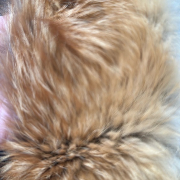 Vintage real red fox fur head band. Velcro closure. - Picture 4 of 4